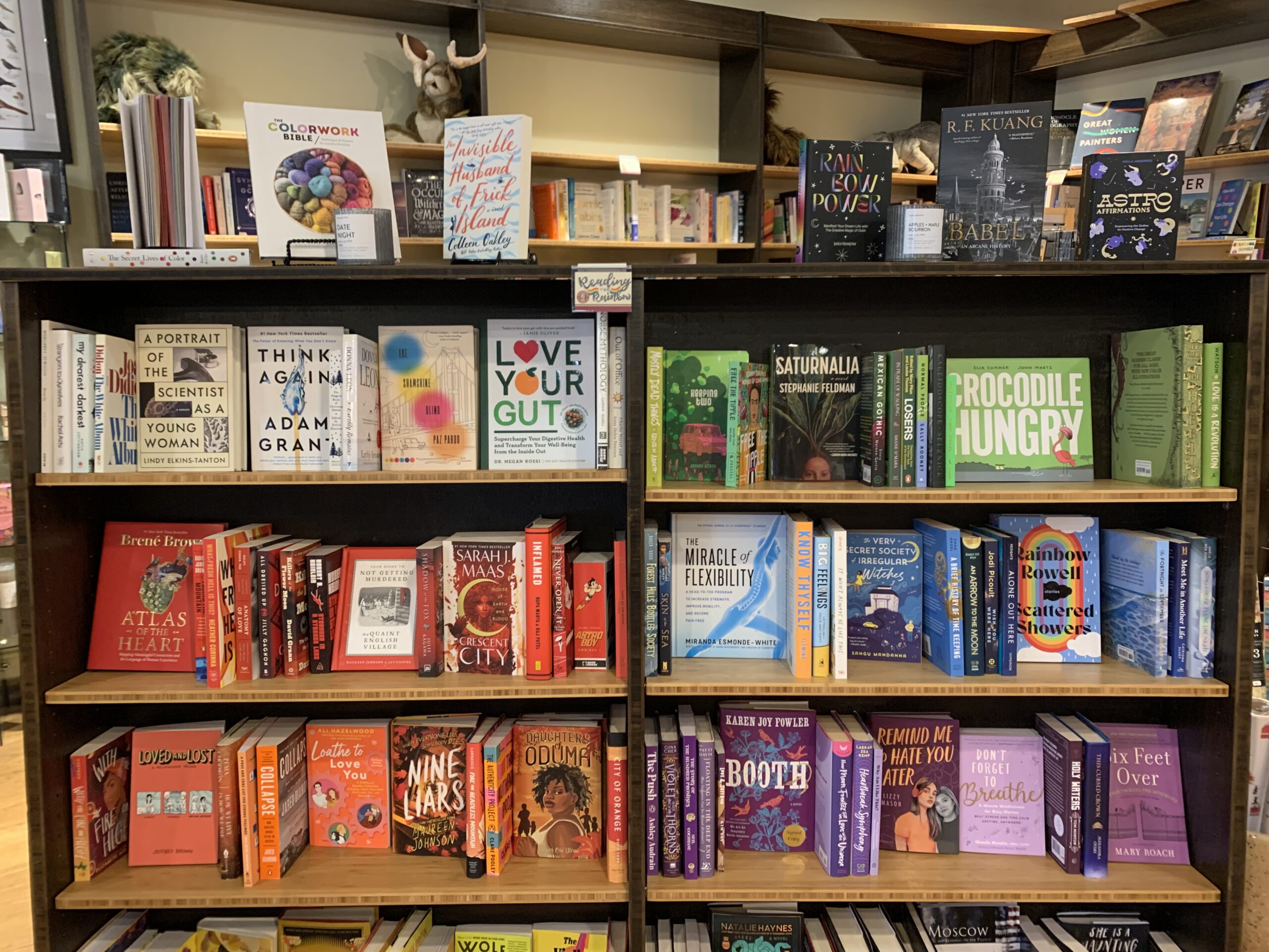 Color coded bookshelves with a bright green Crocodile Hungry book.