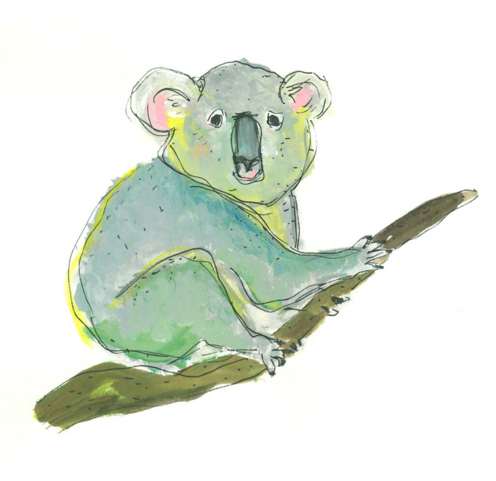 Gouache painting of a koala