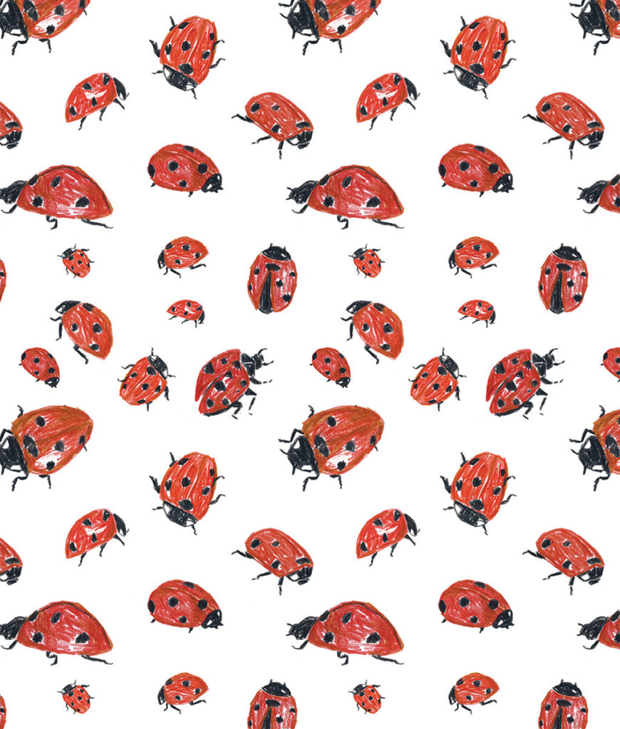 Pattern of pencil drawn red ladybugs