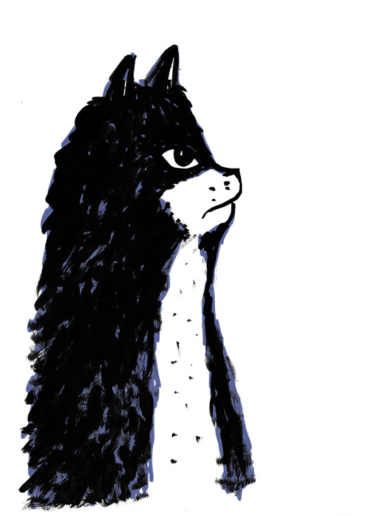 Illustration of an inked kitty cat in profile looking upset.