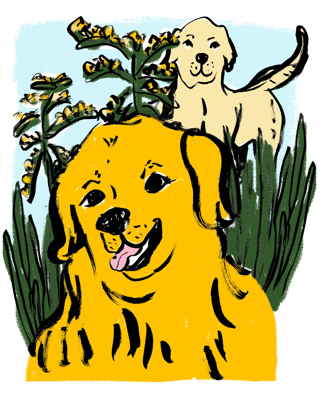 Two golden dogs illustrated in ink happy to be in a green field with goldenrod